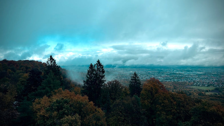 Ärgern war gestern – heute wird gehandelt!🍀